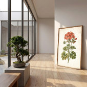 ビンテージ 植物画 ゼラニウム インテリア雑貨 ポスター