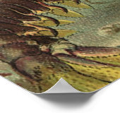 ビンテージ 水中の海の生物、海洋の動物 ポスター (角)