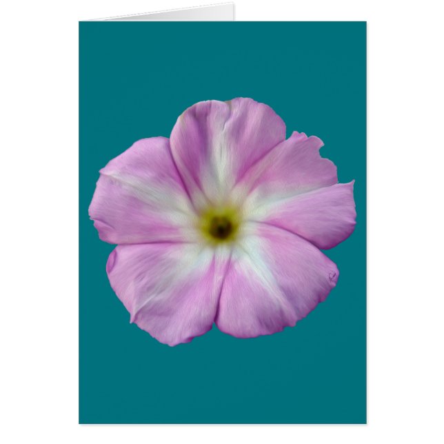 ビンドウィード#1 (正面)