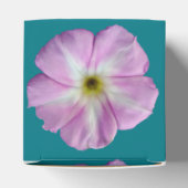 ビンドウィード#1 フェイバーボックス (上部)