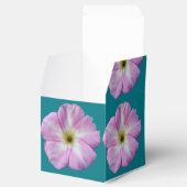 ビンドウィード#1 フェイバーボックス (オープン)