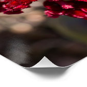 ビヴィッドレッドセロシアプリント ポスター (コーナー)