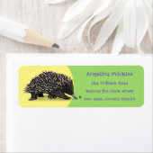 ビーおもしろいマンガのかわいいechidna ラベル (インサイチュ)