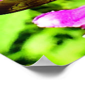 ビーお尻 ポスター (角)