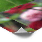 ビーかわいらしとの《植物》百日草 ポスター (角)