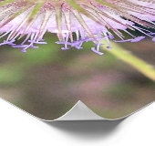 ビーとティーゼルの花 ポスター (角)