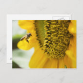 ビーとヒマワリのポストカード ポストカード (正面/裏面)
