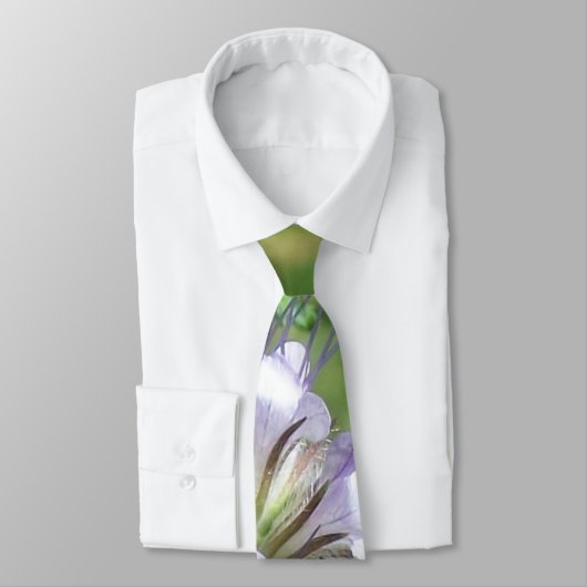 ビーの友人 ネクタイ (タイ)