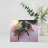 ビーはがき ポストカード (スタンド正面)