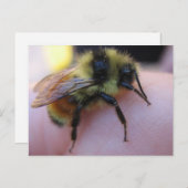 ビーはがき ポストカード (正面/裏面)