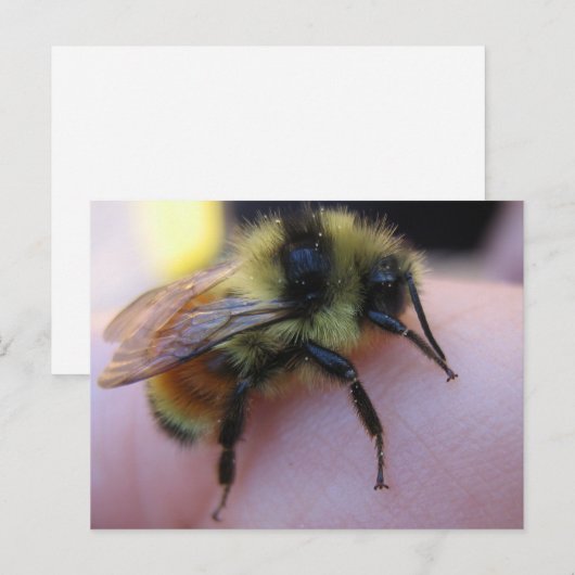 ビーはがき ポストカード (正面/裏面)