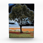 ビーアックソロツリーアクリルブロック フォトブロック (正面)