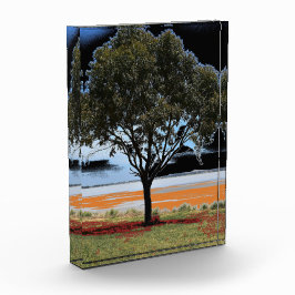 ビーアックソロツリーアクリルブロック フォトブロック