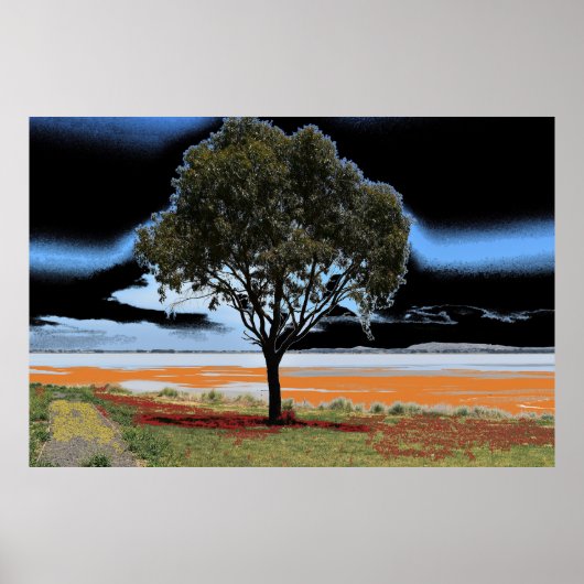 ビーアックソロツリー湖 ポスター (正面)