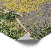 ビーアックソロツリー湖 ポスター (角)