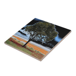 ビーアック湖ソロツリーセラミックタイル タイル