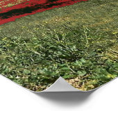 ビーアック湖ソロツリーポスター ポスター (角)