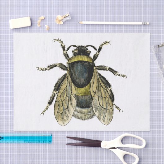 ビーアンティークイラストレーションイエローウィングス 薄葉紙 (クラフト)