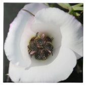 ビーイン タイル (正面)