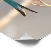 ビーイーター二名 ポスター (コーナー)