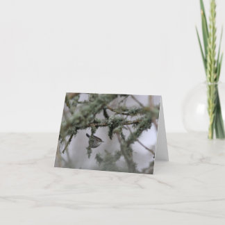 ビーウィックのウォレンとモス空白のノートカード カード