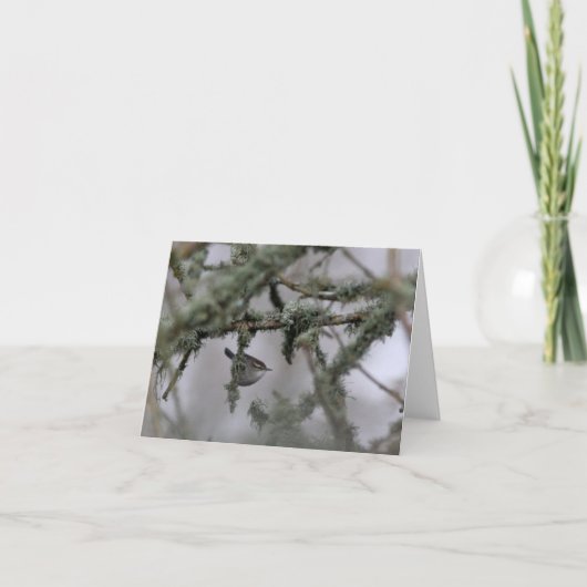 ビーウィックのウォレンとモス空白のノートカード カード (正面)