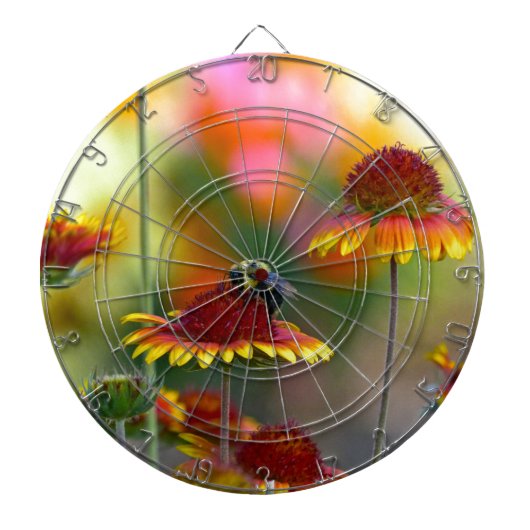 ビーオンガイラルディア ダーツボード (正面)