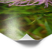 ビーオンチスルフラワー自然 フォトプリント            (角)