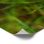 ビーオンチスルフラワー自然 ポスター (角)