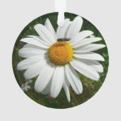 ビーオンデイジーアラスカ夏の自然写真 オーナメント (裏面)