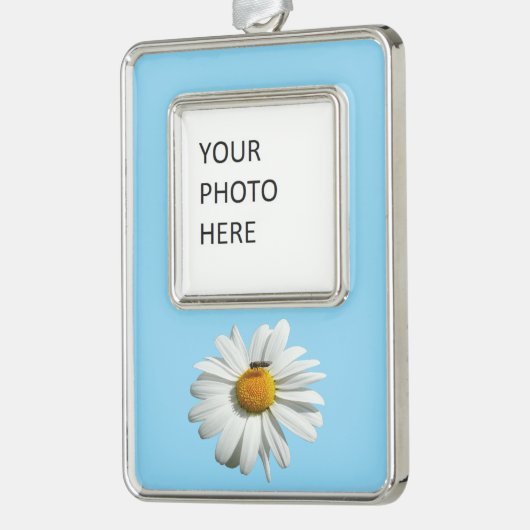 ビーオンデイジーアラスカ夏の自然写真 シルバープレートフレームオーナメント (左)