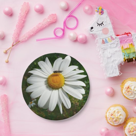 ビーオンデイジーアラスカ夏の自然写真 ペーパープレート (パーティー)