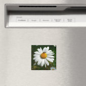 ビーオンデイジーアラスカ夏の自然写真 マグネット (インサイチュ (食洗機))