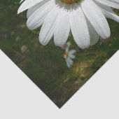 ビーオンデイジーアラスカ夏の自然写真 薄葉紙 (詳細)