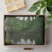 ビーオンデイジーアラスカ夏の自然写真 薄葉紙 (ギフト)