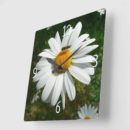 ビーオンデイジーアラスカ夏自然写真 スクエア壁時計 (傾斜)
