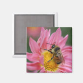 ビーオンピンクデイジーフラワーフォトマグネット マグネット (正面/裏面)