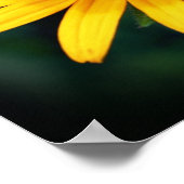 ビーオンブラックアイドスーザンフラワー ポスター (角)