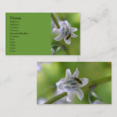 ビーオンブルーベルフラワービジネスカード 名刺 (正面/裏面)