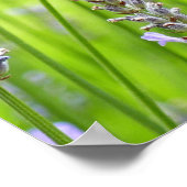 ビーオンラベンダーサマーフローラ ポスター (角)