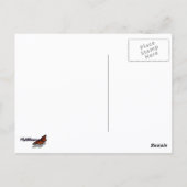 ビーオンラベンダーサマーフローラ ポストカード (裏面)