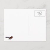 ビーオンラベンダーサマーフローラ ポストカード (裏面)