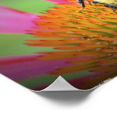 ビーオン・コンフロアー。 ポスター (角)