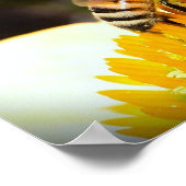 ビーオン・コンフロアー。 ポスター (角)