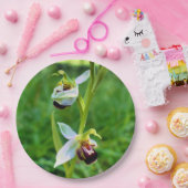 ビーオーキッド紙プレート ペーパープレート (パーティー)