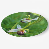 ビーオーキッド紙プレート ペーパープレート (アングル)