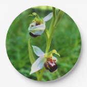 ビーオーキッド紙プレート ペーパープレート (正面)