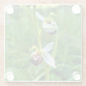 ビーオーキッド ガラスコースター (裏面)