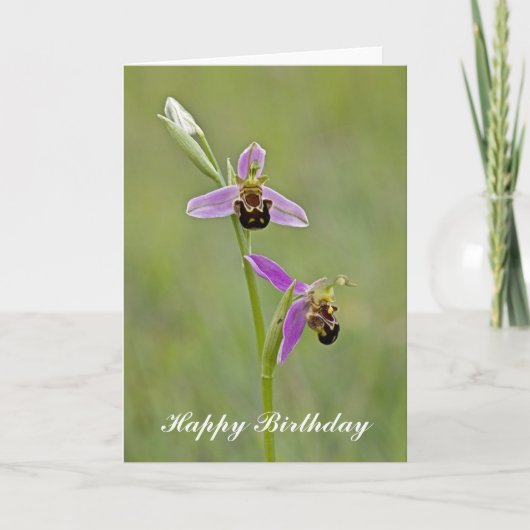 ビーオーキッド – ハッピーバースデーグリーティングカード カード (正面)