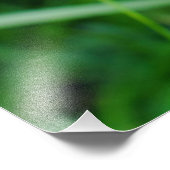 ビーオーキッド フォトプリント            (角)